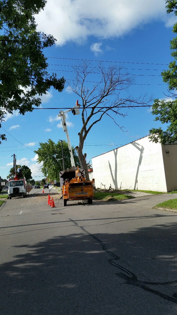 Prescott Tree Service business image in Prescott, AZ